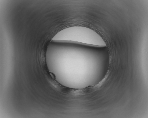 X0000112500186200908171018