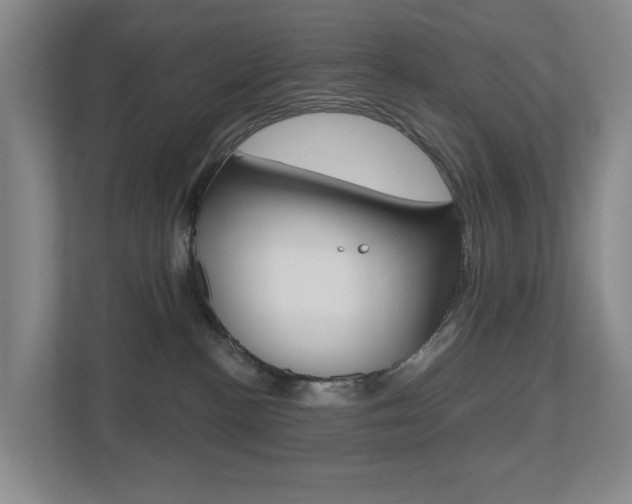 X0000112500188200908171018