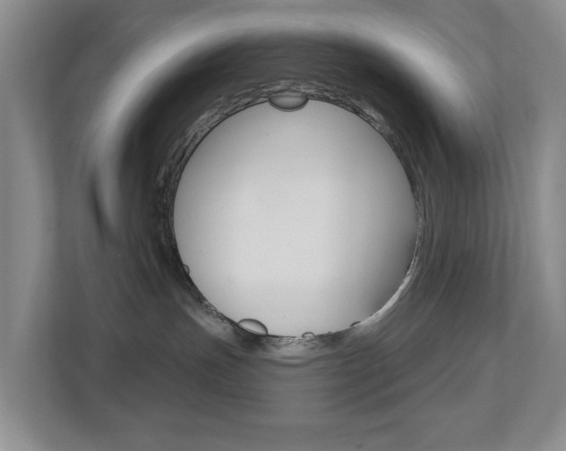 X0000112500191200908171019