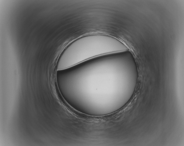 X0000112500193200908171018