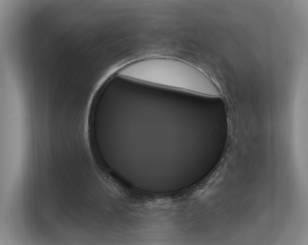 X0000112500196200908171018