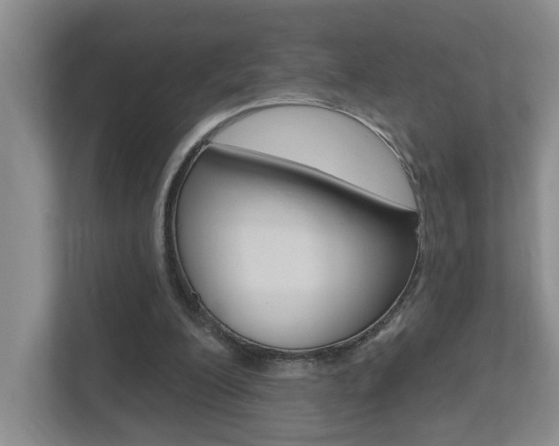 X0000112500200200908171018