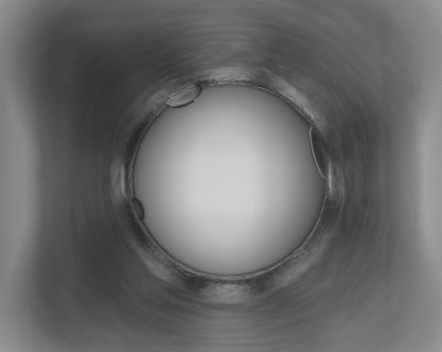 X0000112500205200908171018