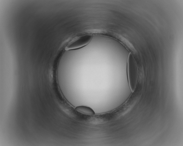X0000112500207200908171018