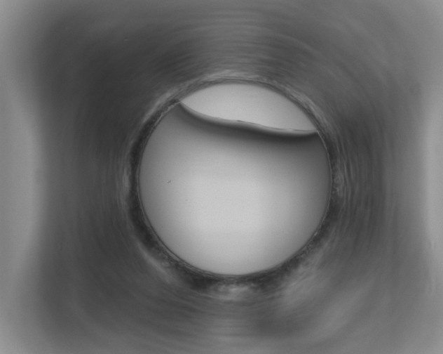 X0000112500208200908171018
