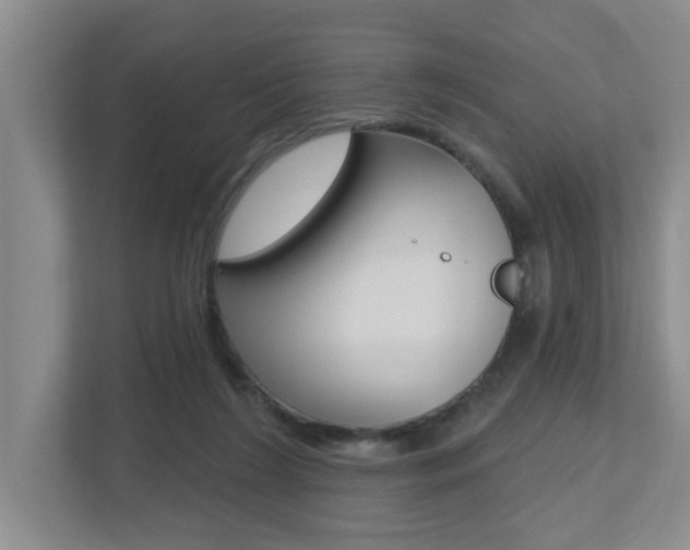 X0000112500212200908171018
