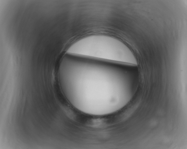 X0000112500216200908171018