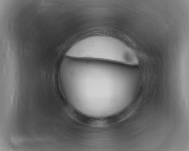 X0000112500217200908171018