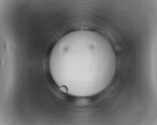 X0000112500218200908171018