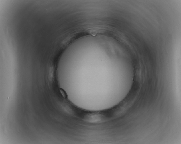 X0000112500219200908171018