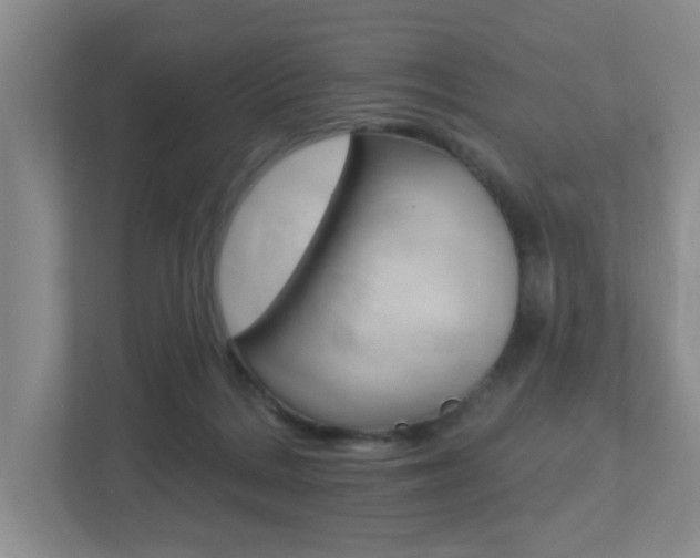 X0000112500220200908171018