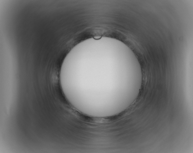 X0000112500226200908171017