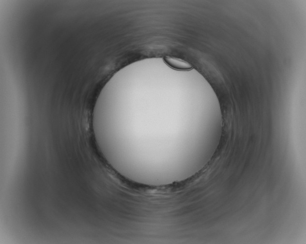 X0000112500232200908171017