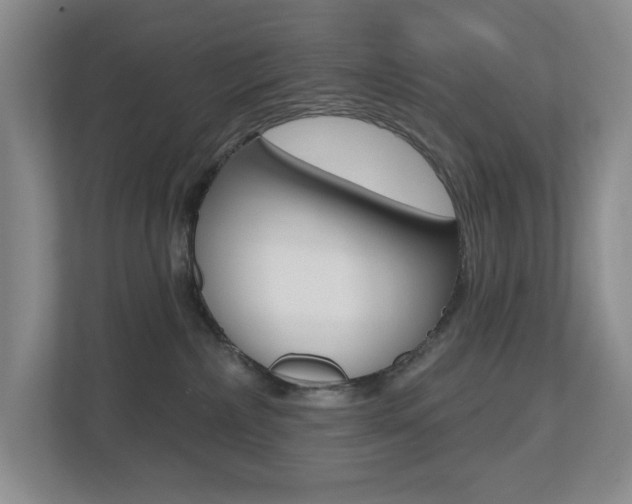X0000112500236200908171017