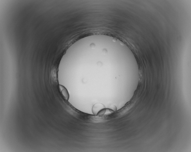 X0000112500238200908171017