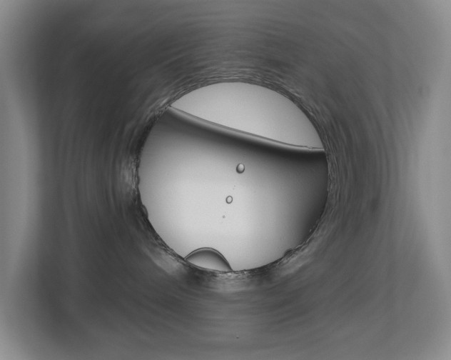 X0000112500240200908171017