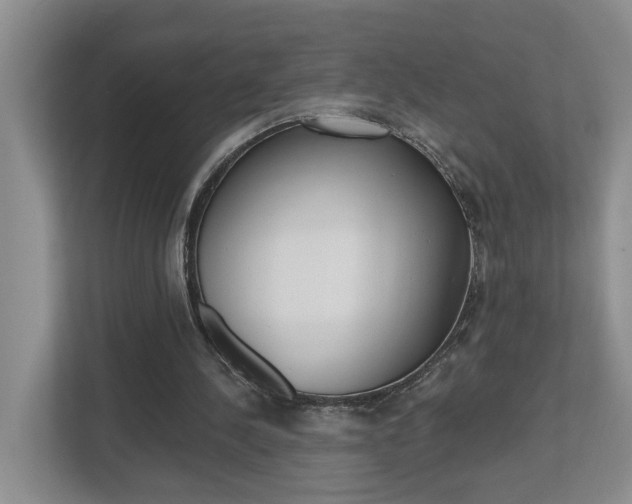 X0000112500244200908171017