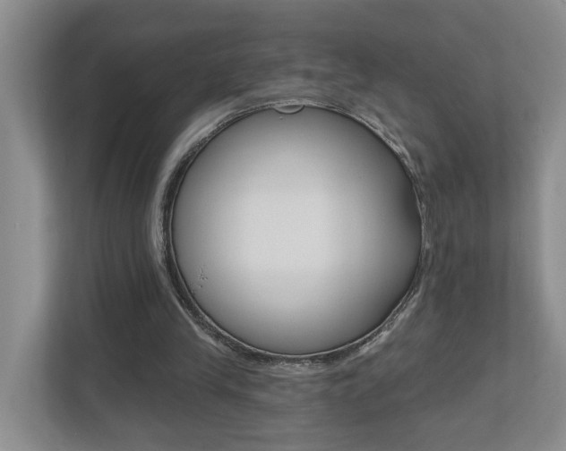 X0000112500245200908171017