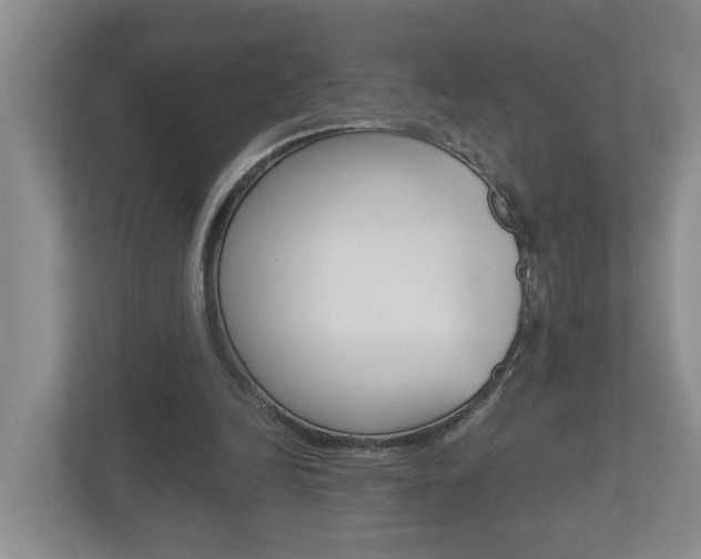 X0000112500246200908171017