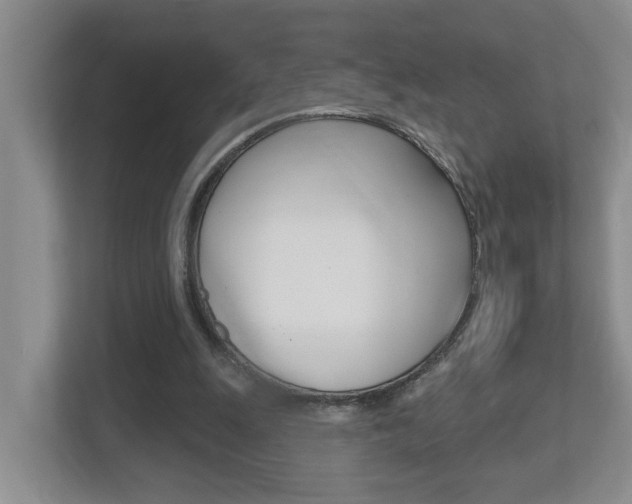 X0000112500247200908171017