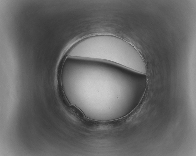 X0000112500248200908171017