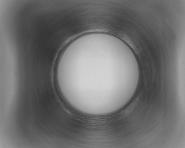 X0000112500252200908171017