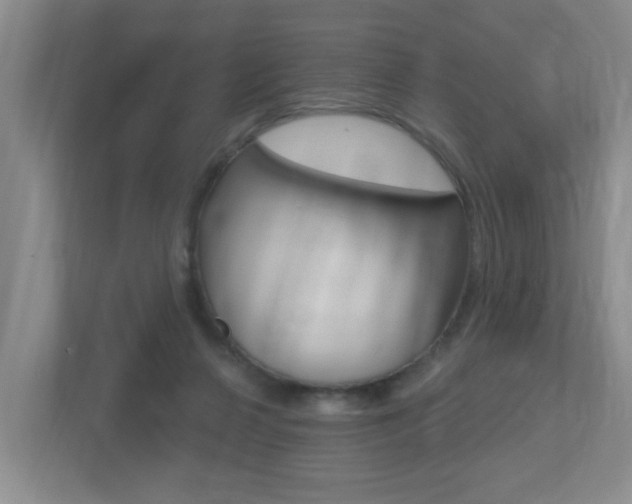 X0000112500264200908171017