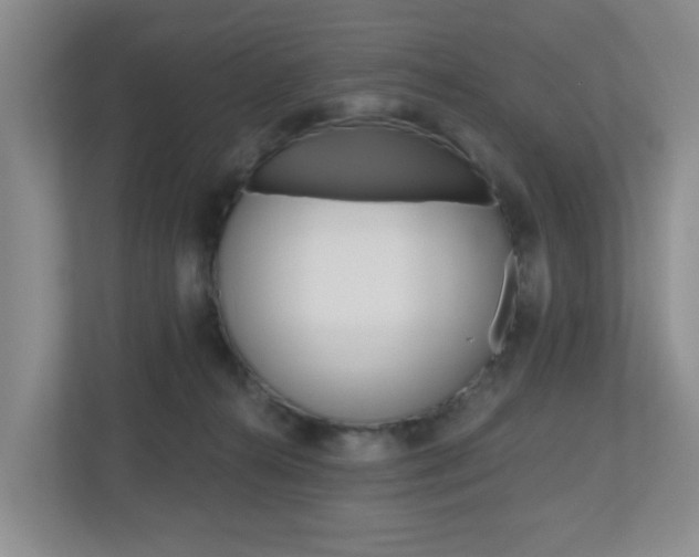 X0000112500272200908171017