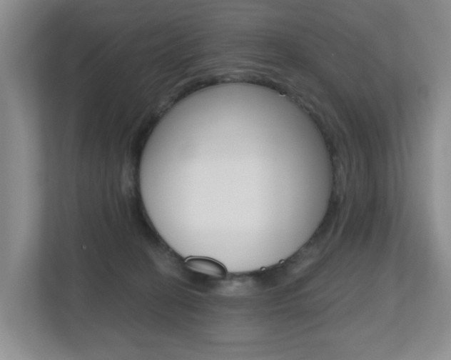 X0000112500274200908171017