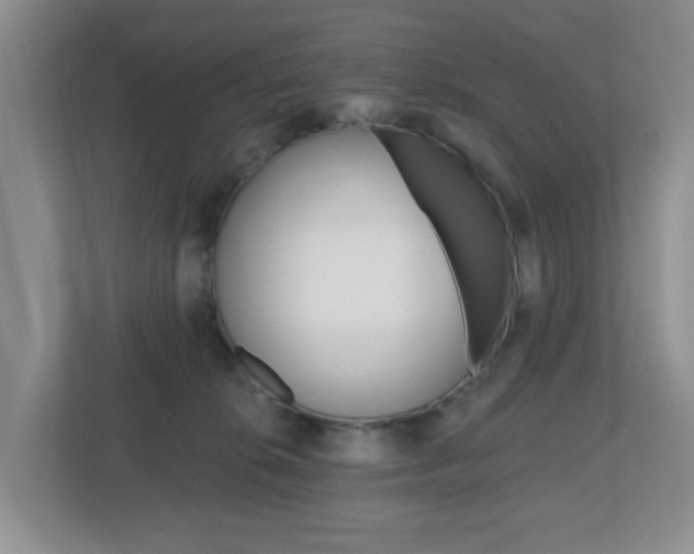 X0000112500276200908171017