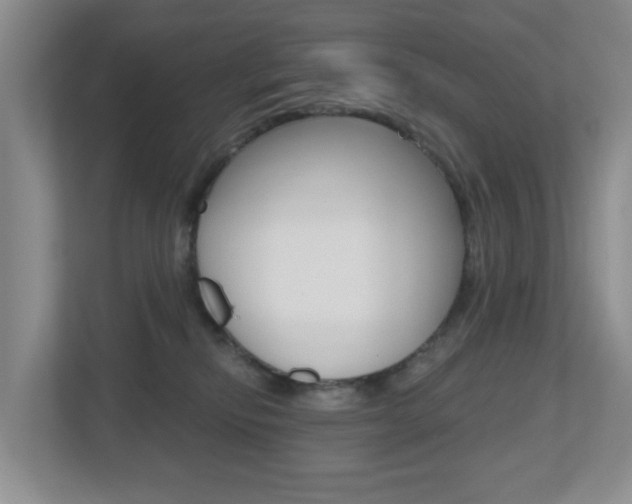 X0000112500278200908171017