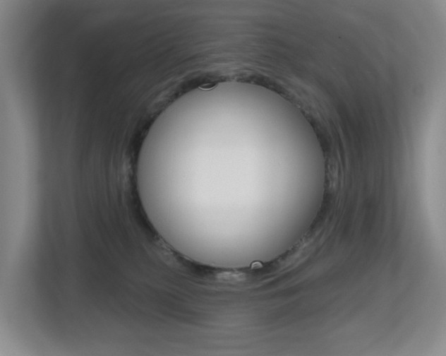X0000112500279200908171017