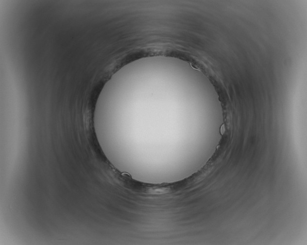 X0000112500283200908171017