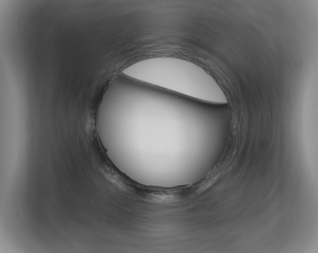 X0000112500284200908171017