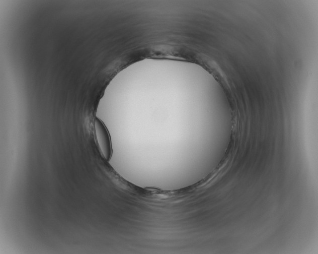 X0000112500285200908171017