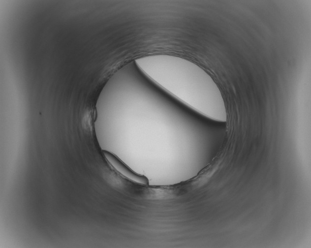 X0000112500286200908171017