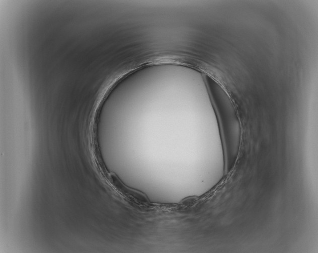 X0000112500289200908171017
