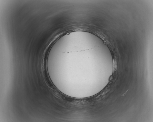 X0000112500291200908171017