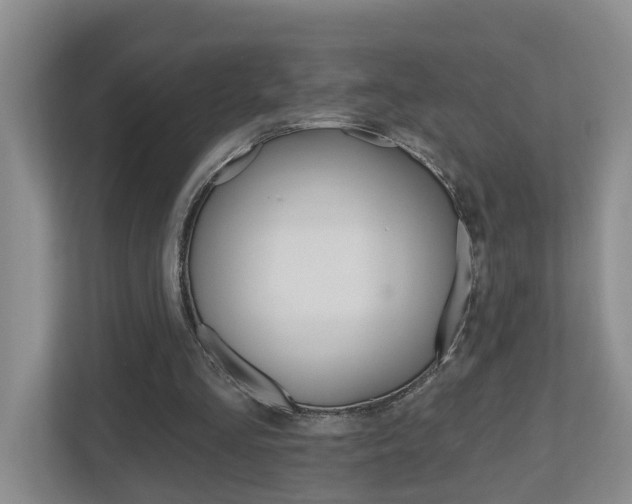 X0000112500293200908171017