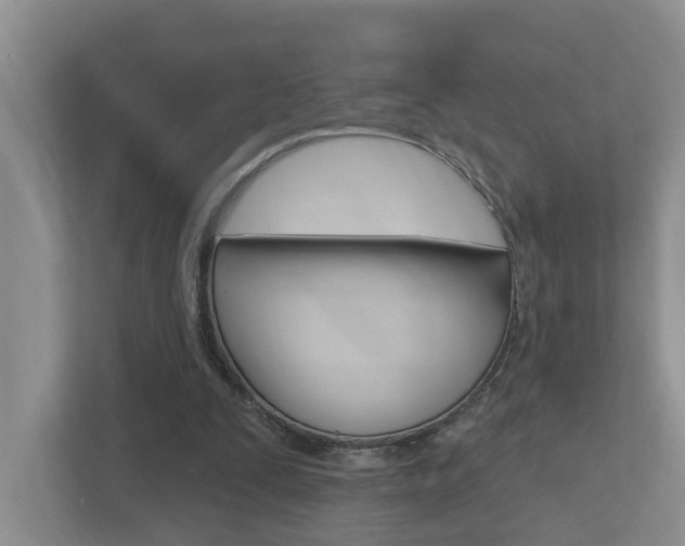 X0000112500295200908171017