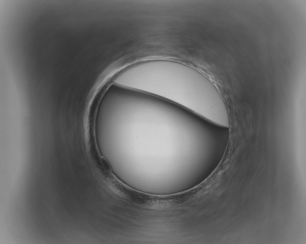 X0000112500296200908171017