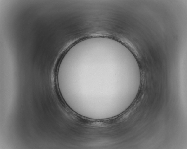 X0000112500298200908171017