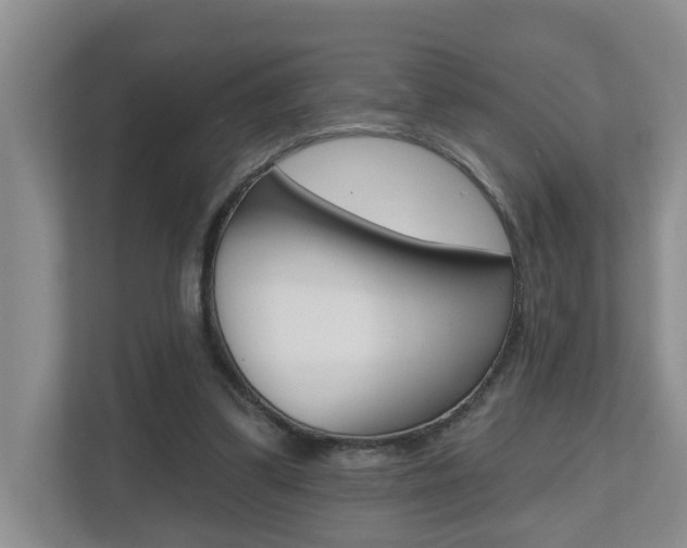 X0000112500299200908171017