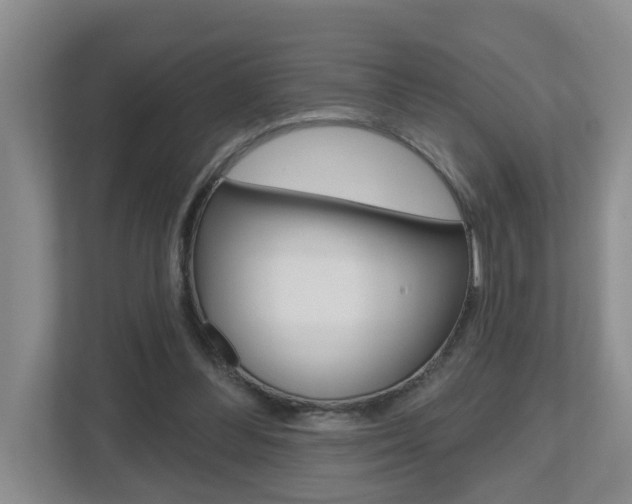 X0000112500300200908171017