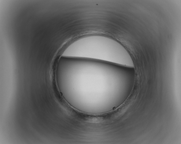 X0000112500304200908171016