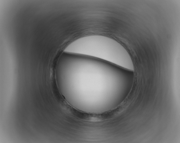 X0000112500308200908171016