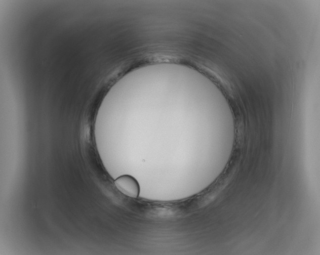 X0000112500310200908171016