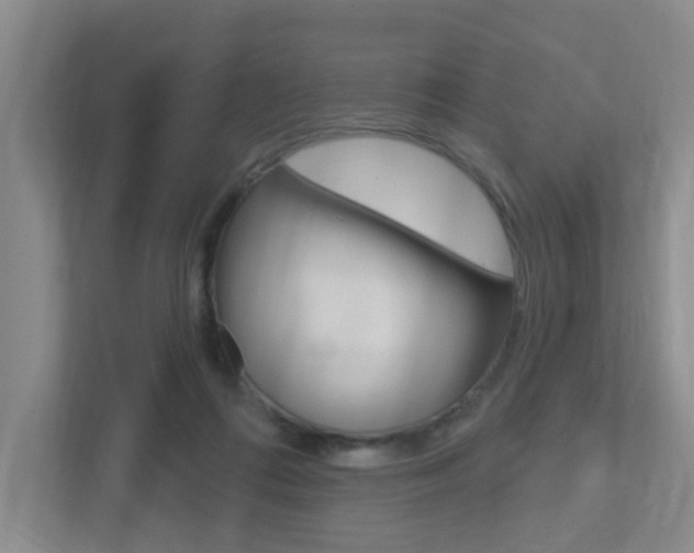 X0000112500312200908171016