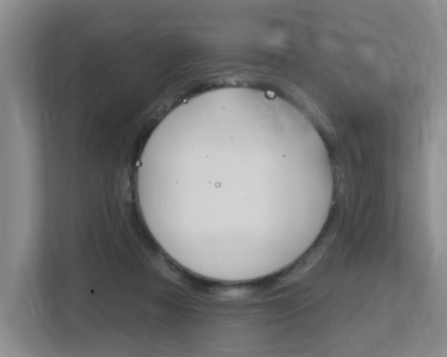 X0000112500313200908171016