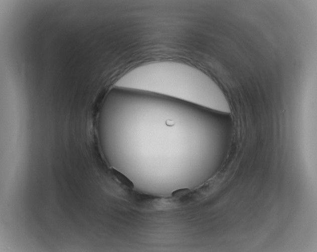 X0000112500320200908171016